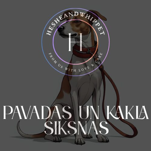 Pavadas un kakla siksnas
